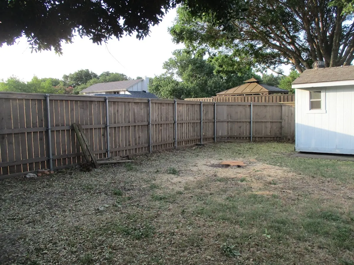 Cleared yard after professional tree removal in Bellvue
